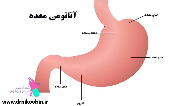 متخصص-رادیوانکولوژی-اصفهان | دکتر-فرزانه-نیکوبین